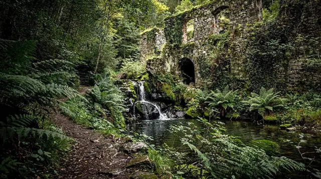Valle delle Ferriere Hike: The Amalfi Coast's Hidden Rainforest