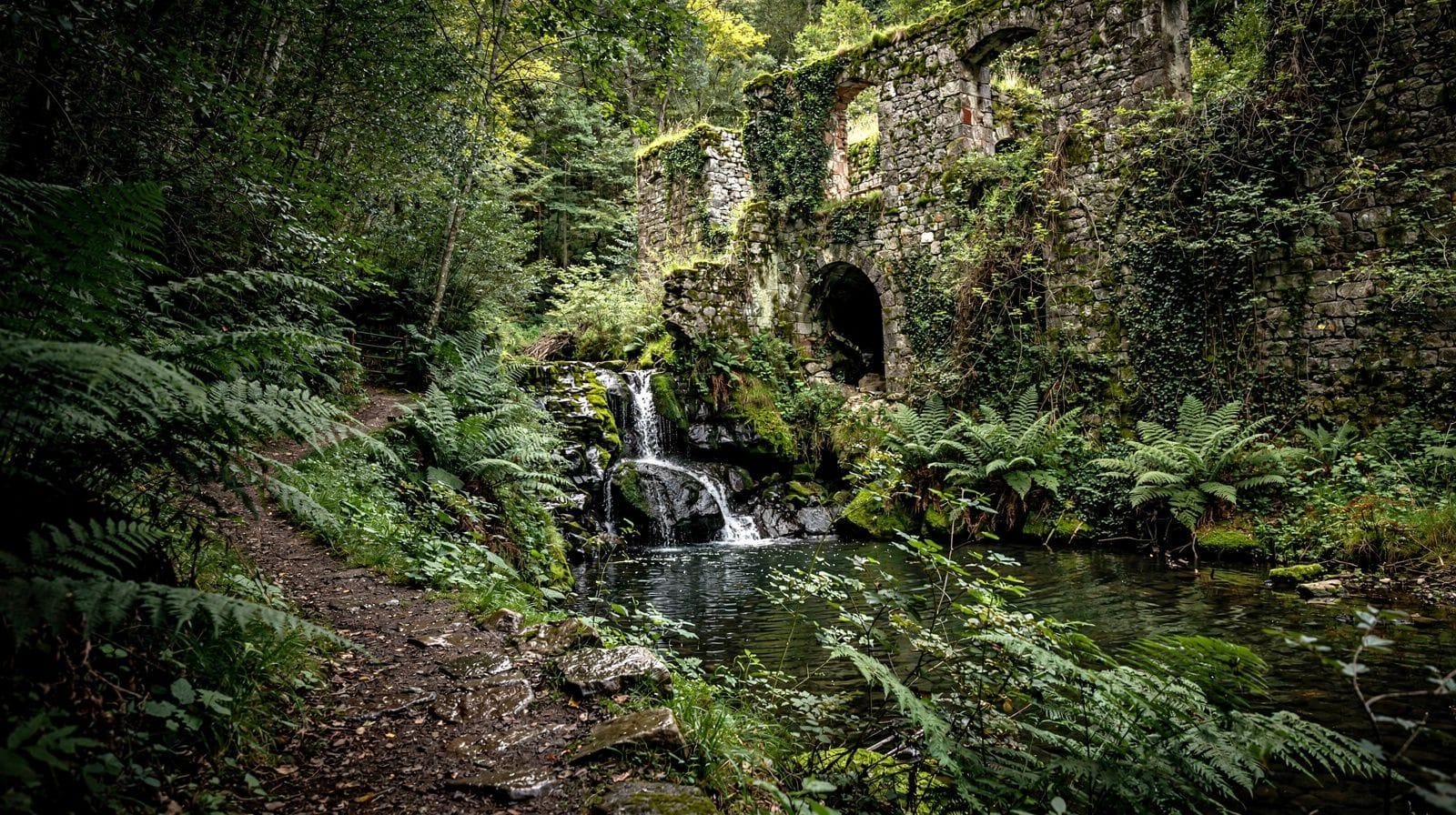 Randonnée du Valle delle Ferriere : la forêt tropicale cachée de la Côte Amalfitaine